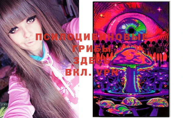 шишки Новокубанск