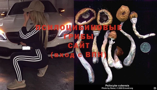 бошки Балахна