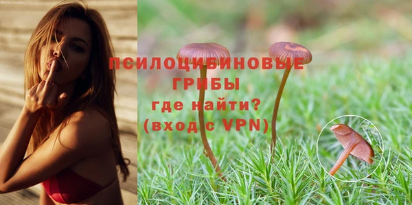 бошки Баксан