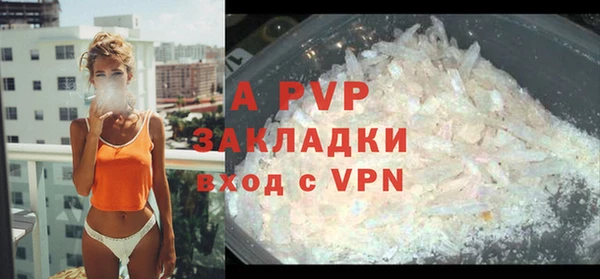 хмурый Новозыбков